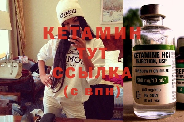 стафф Арсеньев