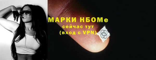 стафф Арсеньев