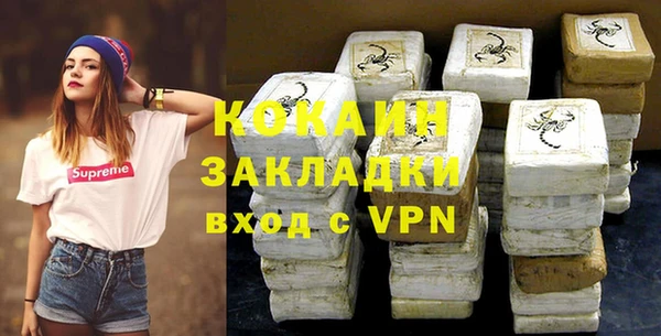 стафф Арсеньев
